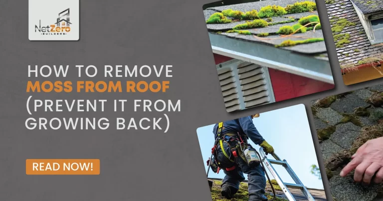 remove moss from roof​